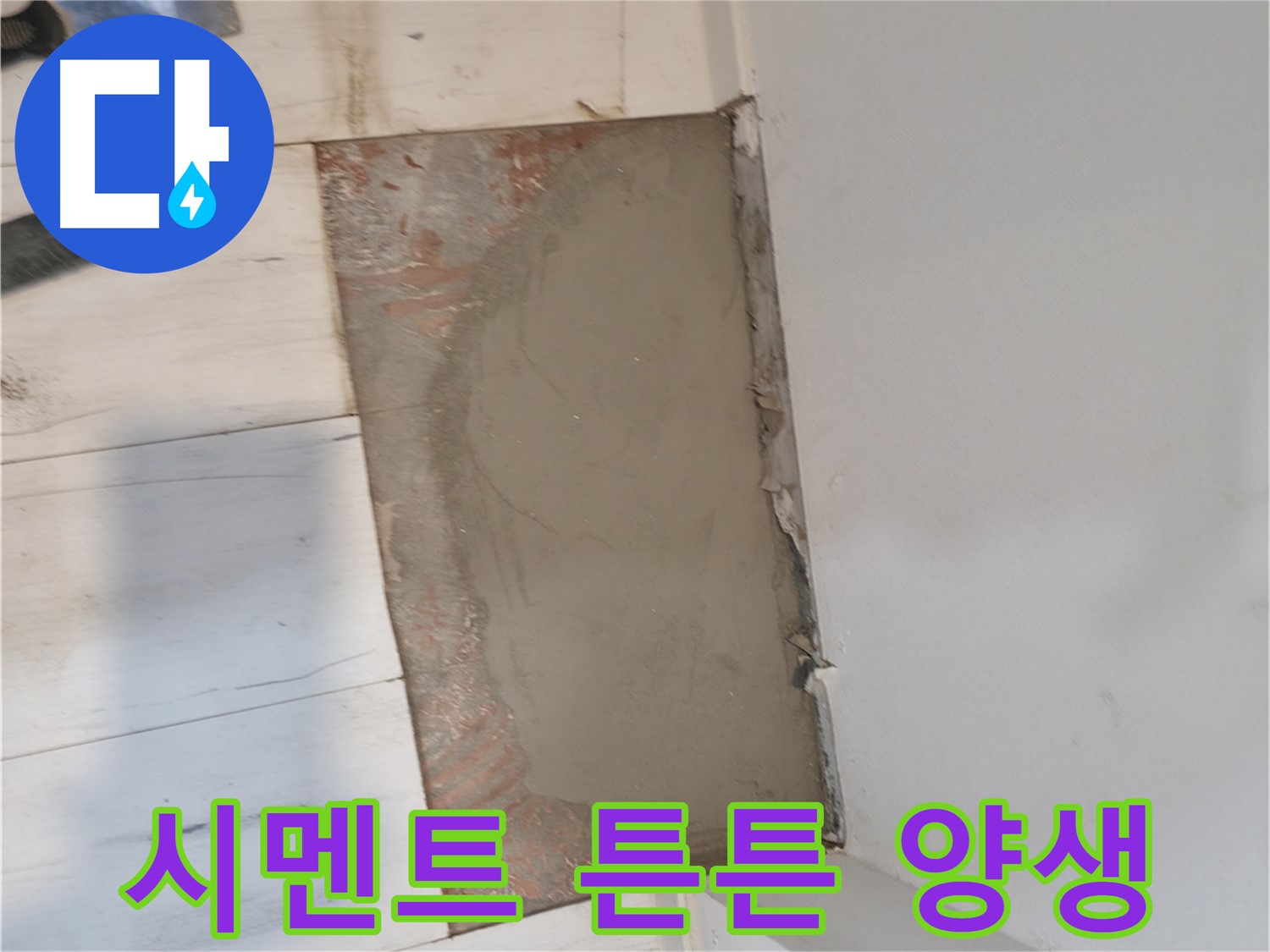 시멘트 양생 중 - 튼튼해져라!