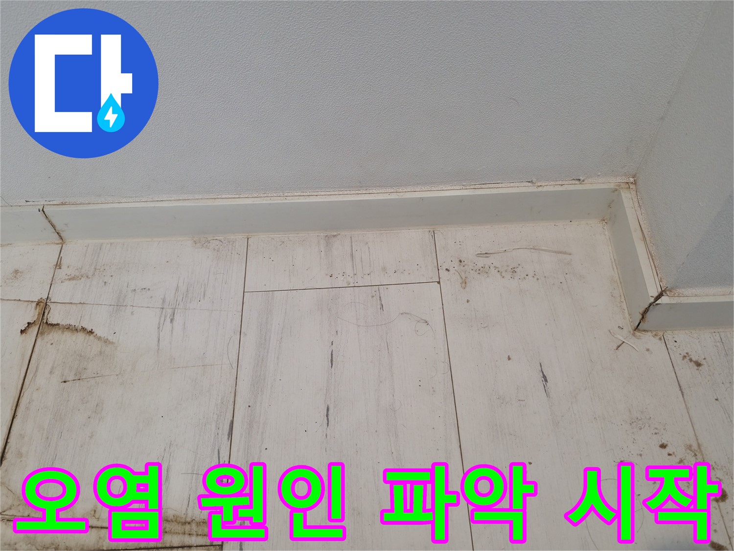신림 누수 - 마루 오염 원인 파악 시작 - 원인 분석