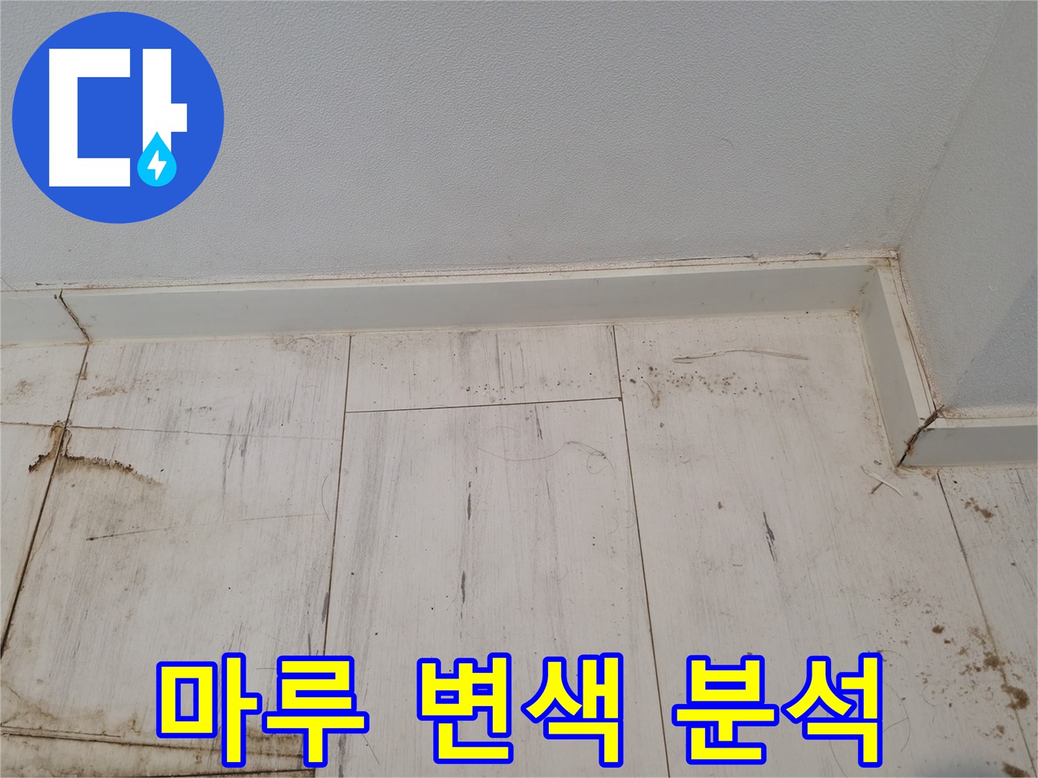 관악구 누수 - 마루 변색 원인 정밀 분석 작업