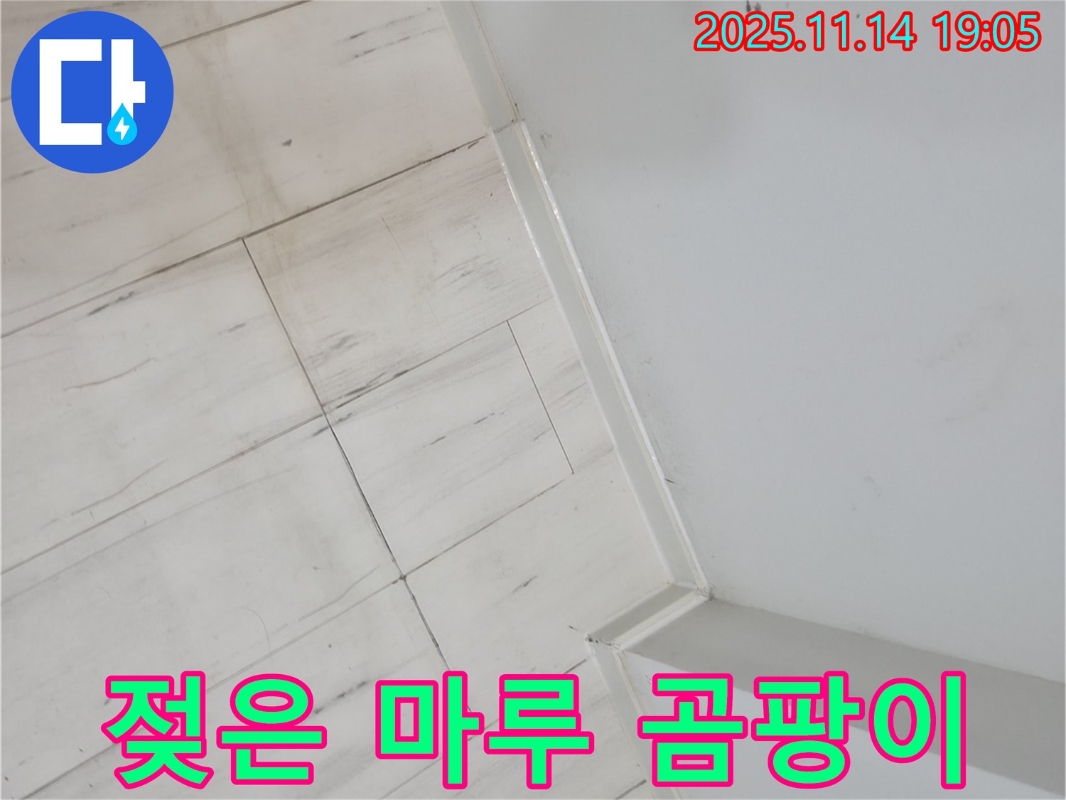 신림동 누수 - 젖은 마루, 곰팡이 번식 막는 긴급 조치!