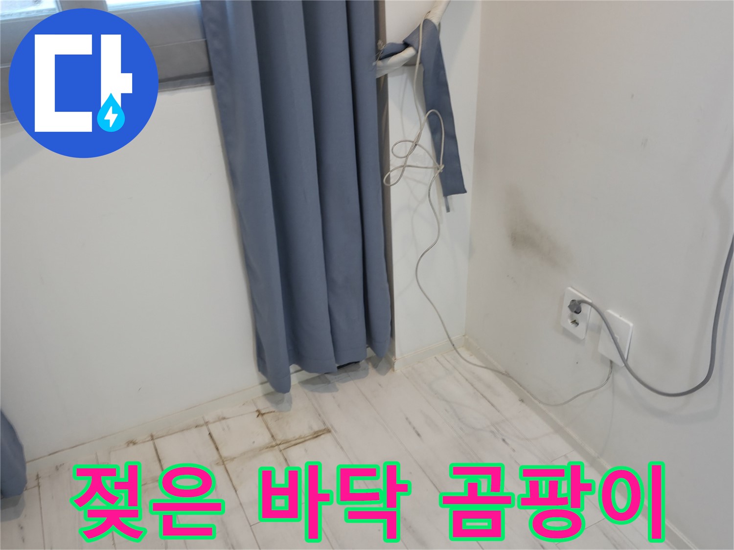 신림동 누수 - 젖은 바닥과 곰팡이 발생 - 꼼꼼한 누수 점검 필요