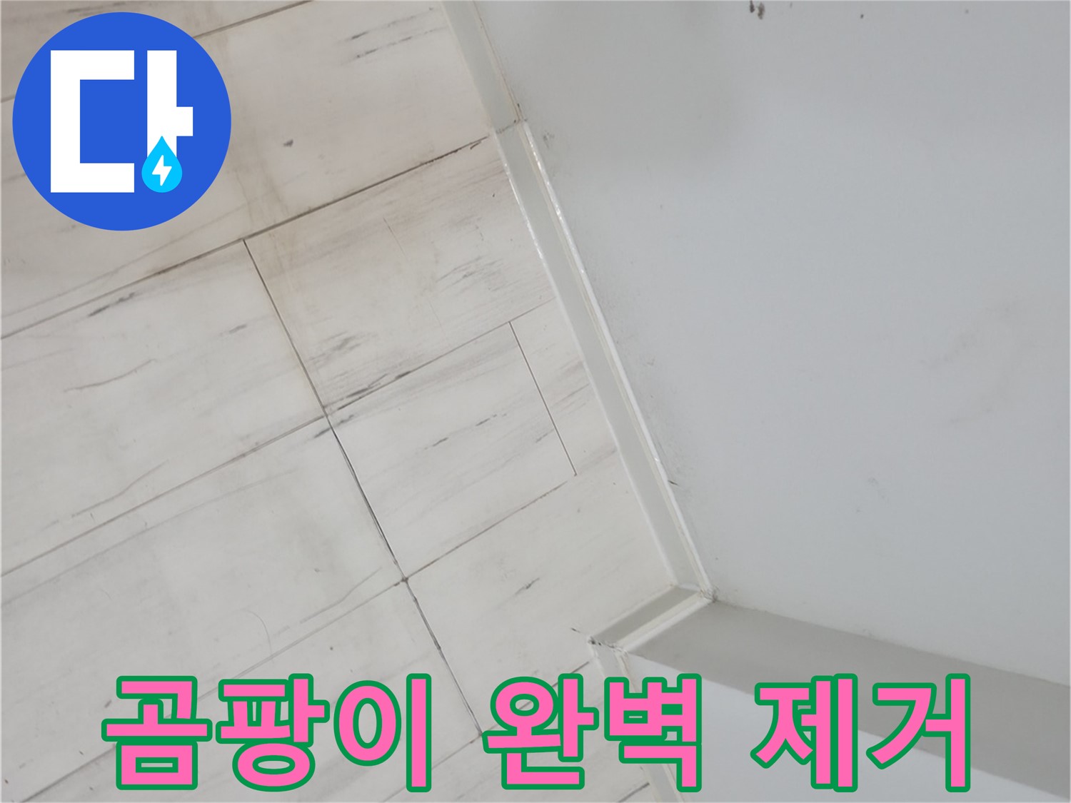 신림동 빌라 장판 밑 곰팡이 누수 - 누수 걱정 없는 편안한 생활