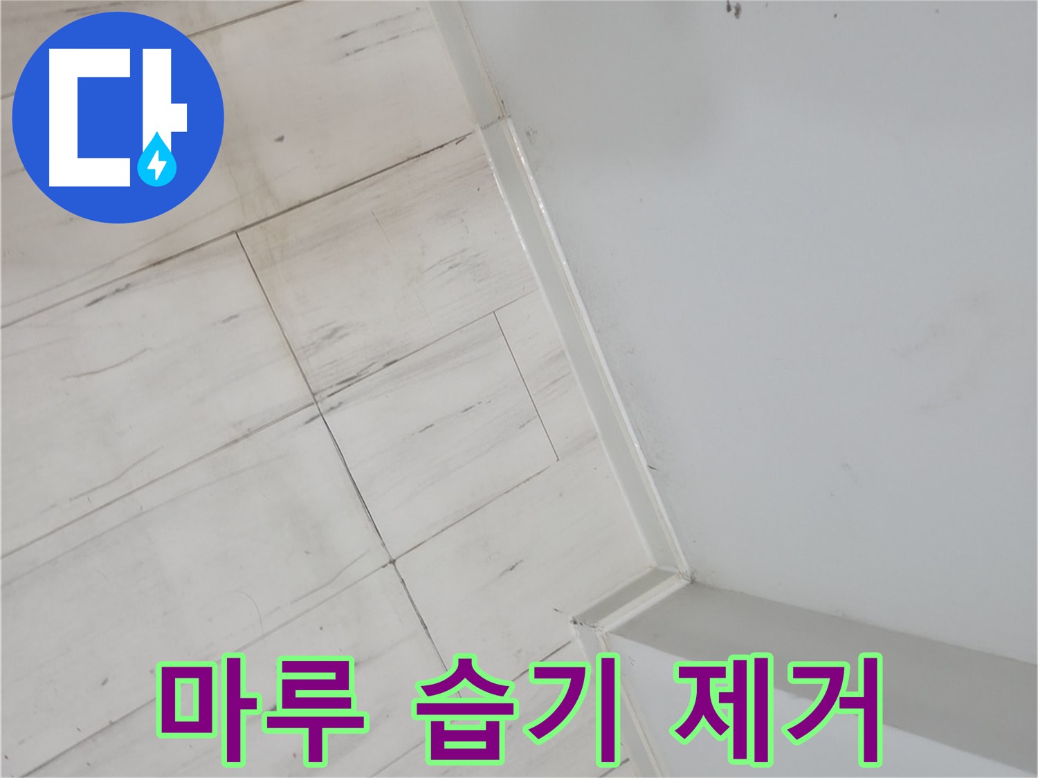 신림동 젖은 마루 습기 누수 완벽 해결 사례