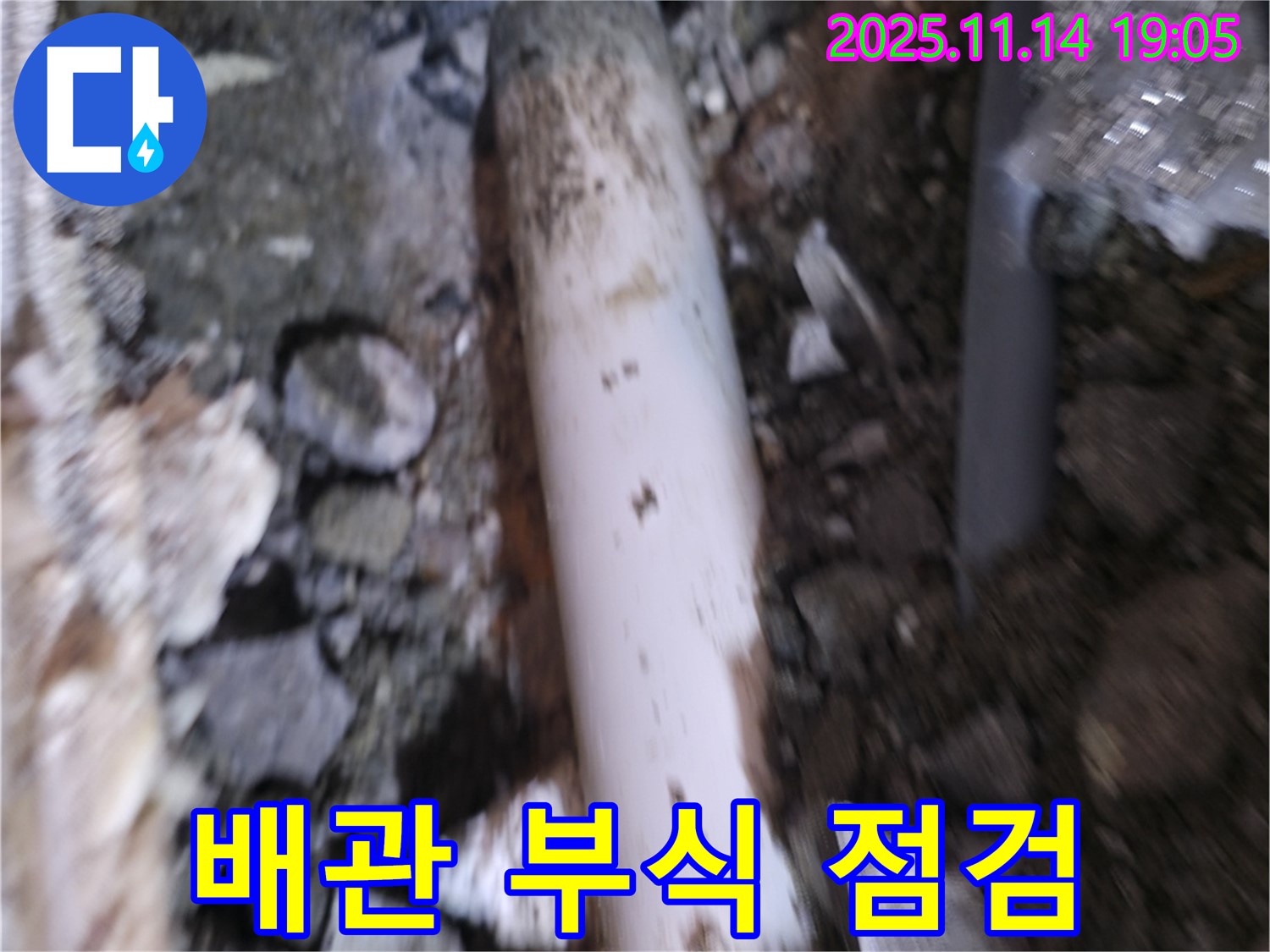 신림하이츠빌라 누수 - 흙 속에 묻힌 배관의 부식 상태를 꼼꼼하게 점검