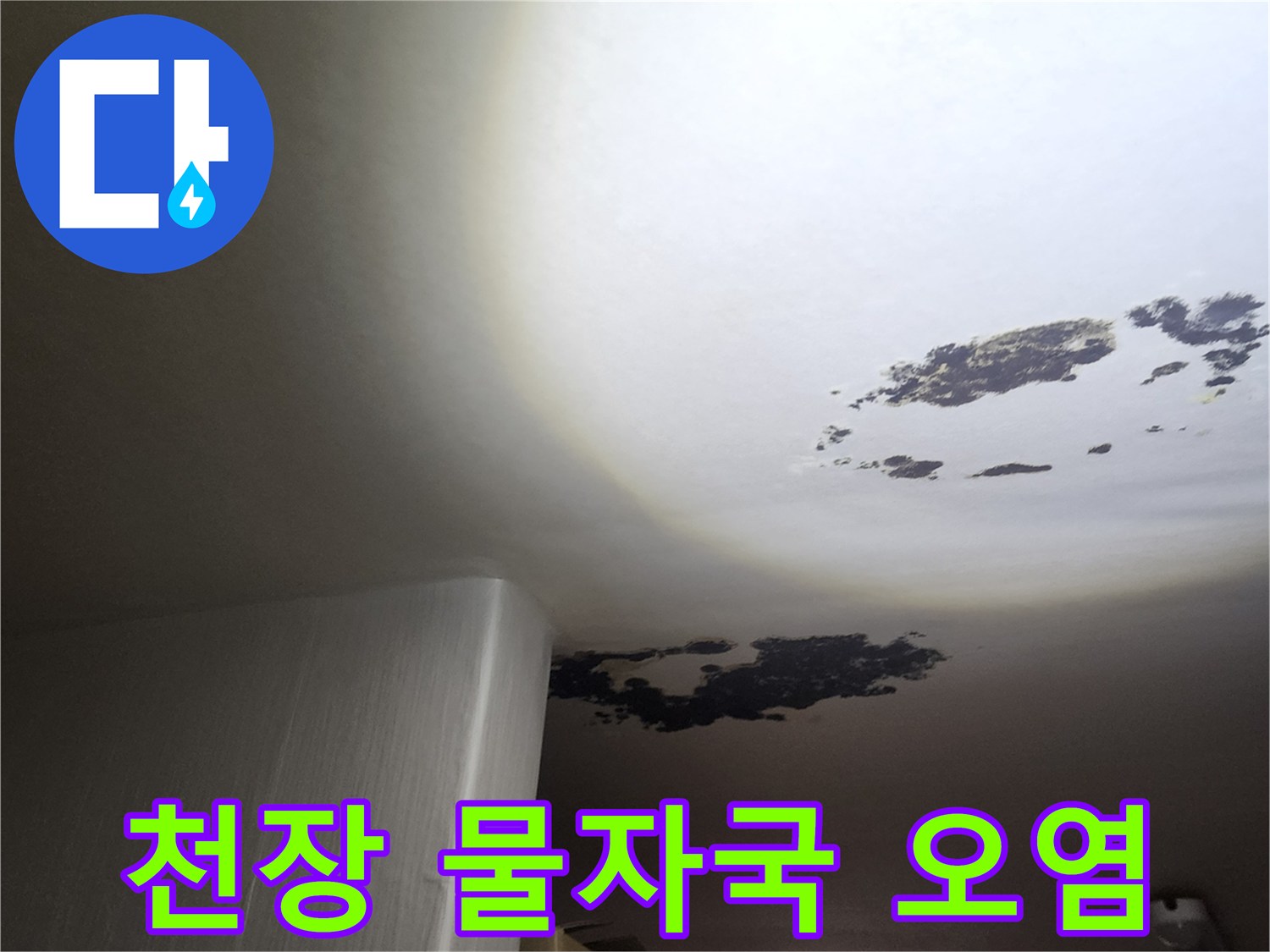 곰팡이가 발생한 천장-누수 피해가 확인된 현장 모습