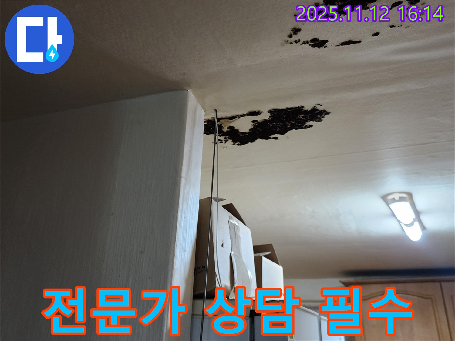 구읍리 누수 - 천장 곰팡이, 전문가와 상담하세요!