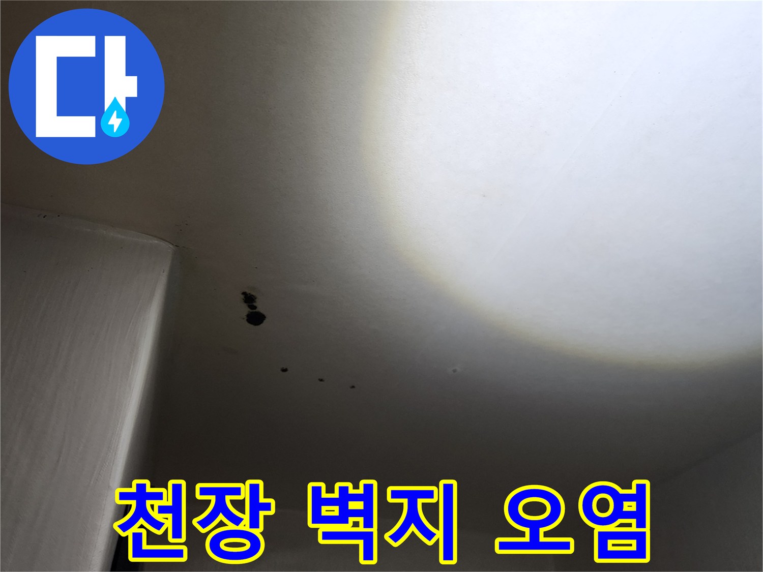 구읍리 현장-천장 벽지 사이로 번진 곰팡이와 물샘 흔적
