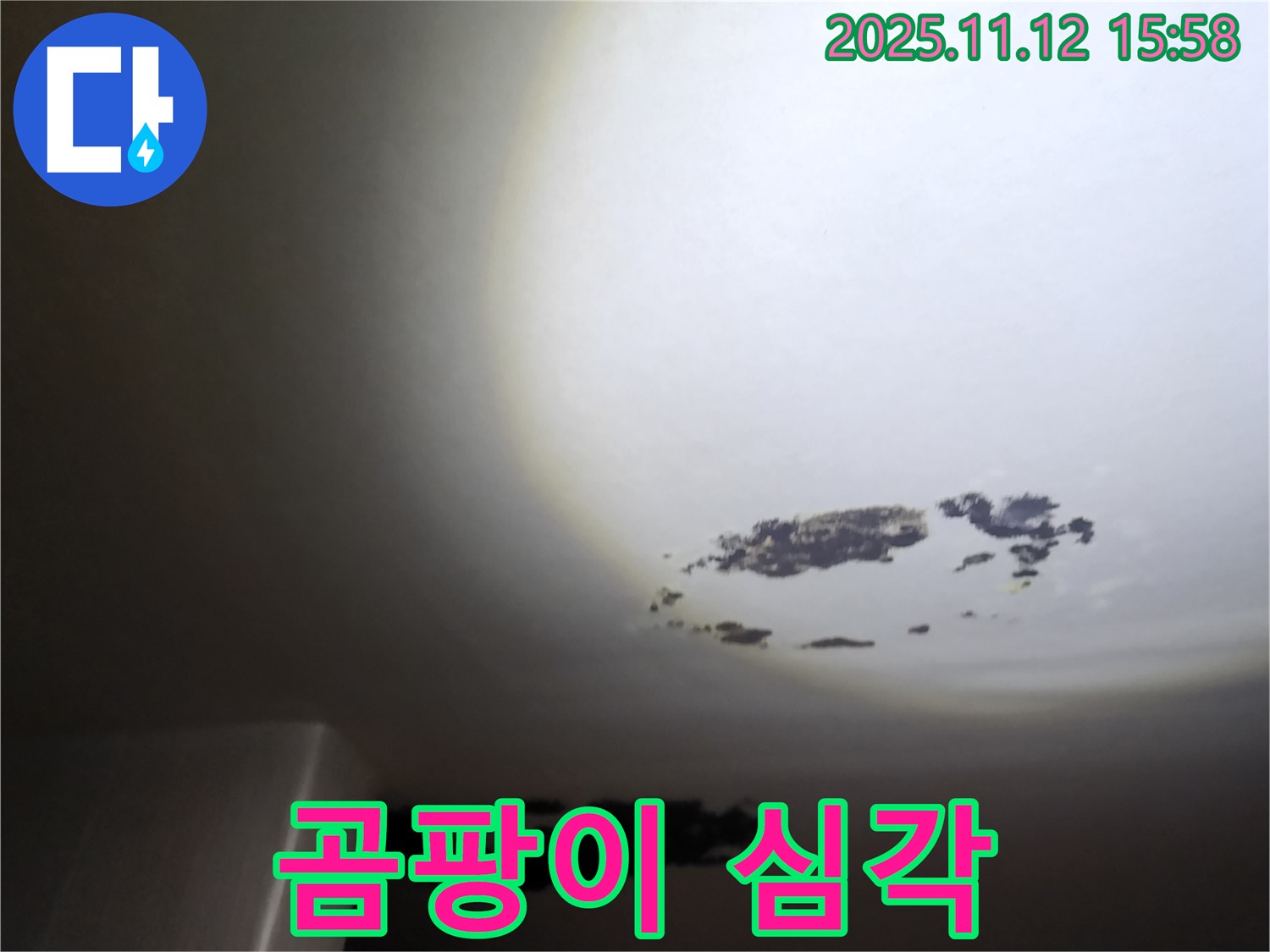 군내면 - 곰팡이가 심하게 핀 천장 누수 현장