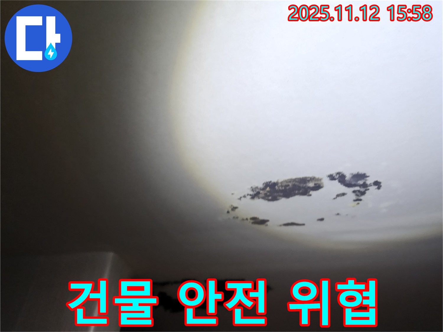 군내면 - 곰팡이와 함께 건물 안전을 위협하는 천장 누수 현장