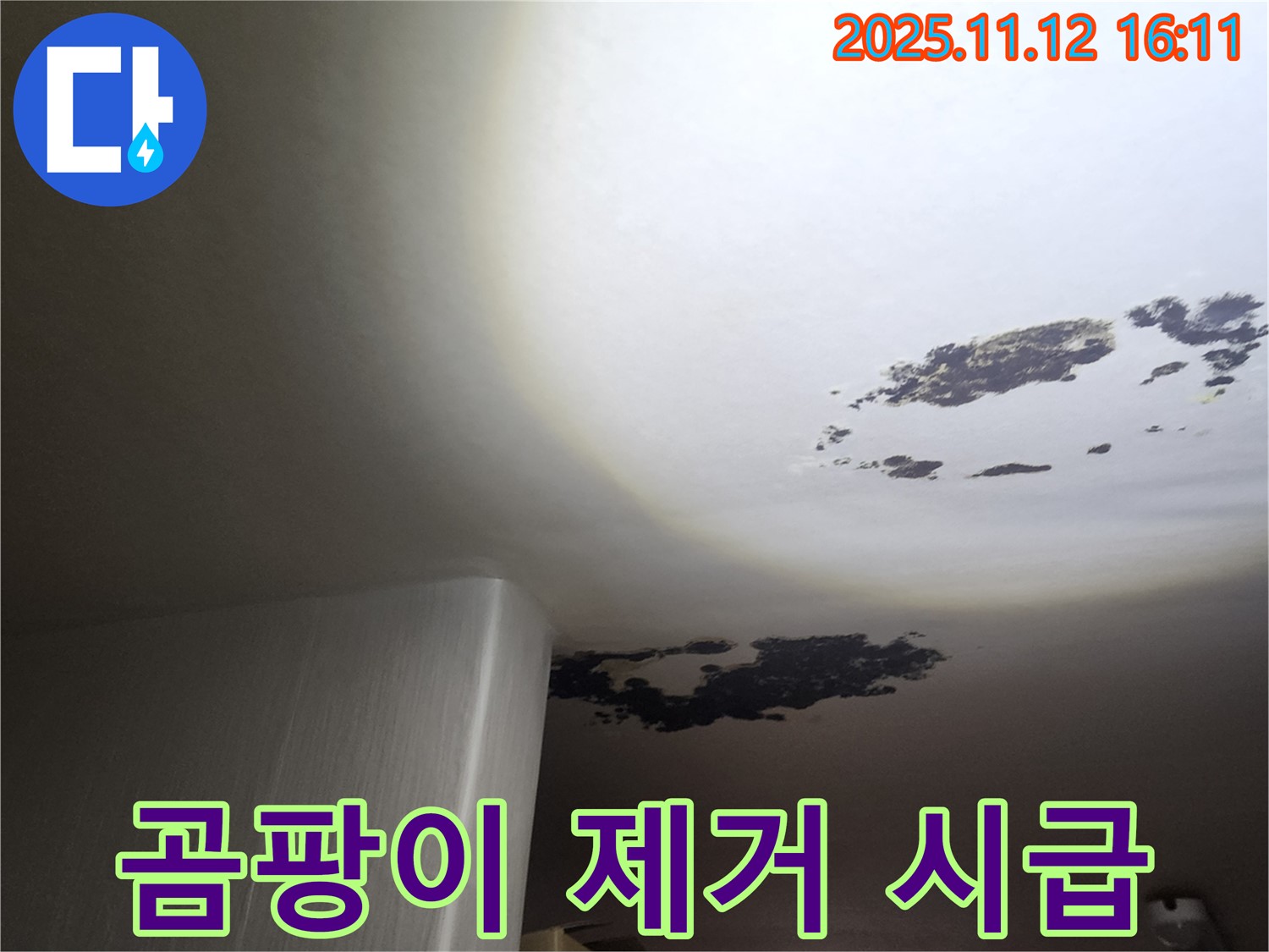 군내면 누수 - 곰팡이 제거가 시급한 천장 상태