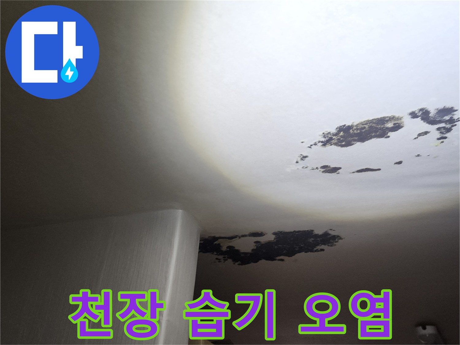누수로 인한 천장-넓게 번진 곰팡이와 물 자국 현장