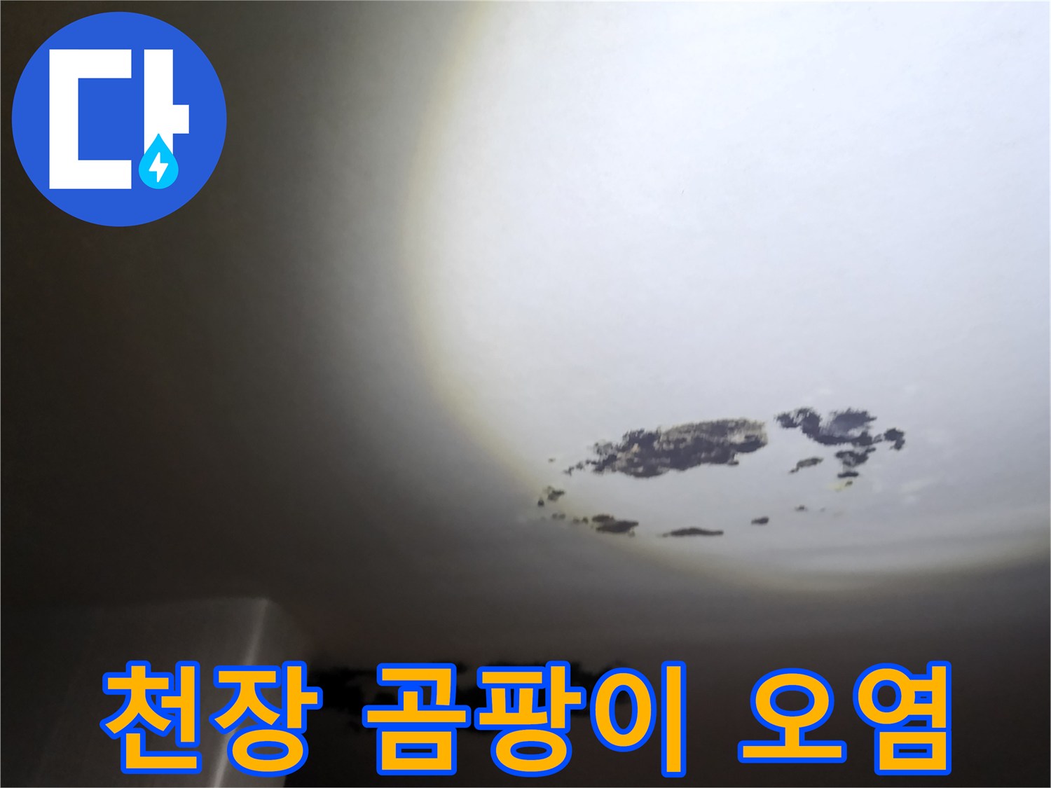 누수로 인해 검게 변한 천장 벽지 상태