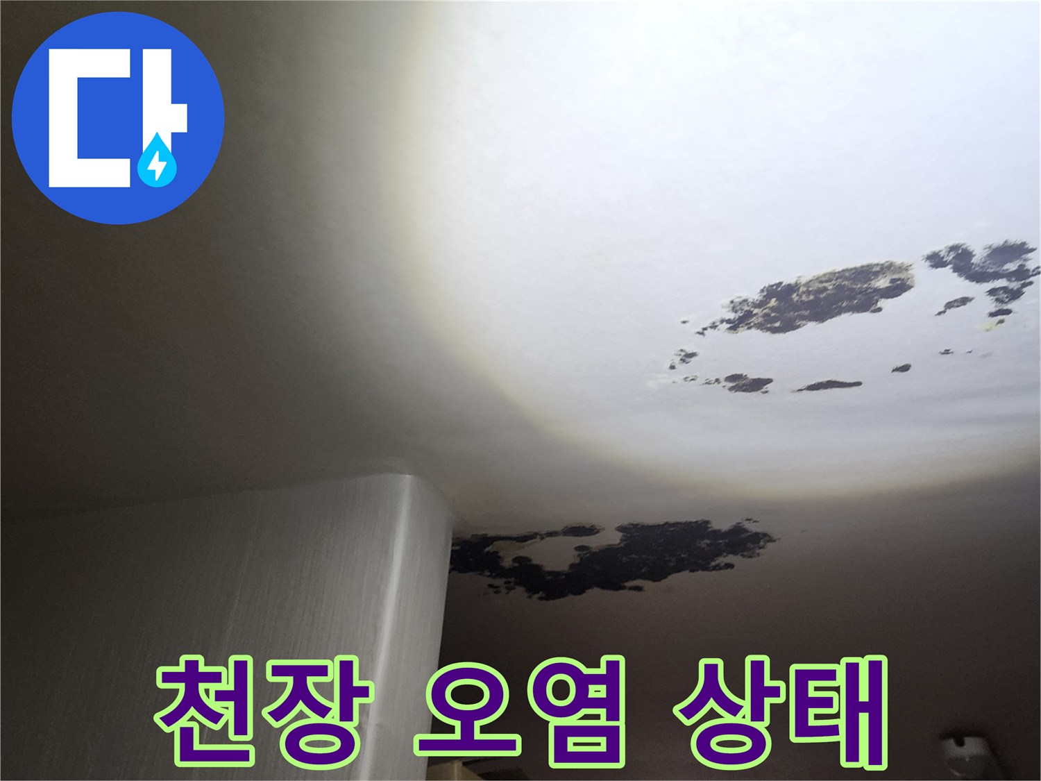누수로 인해 발생한 천장의 검은 곰팡이와 습기 자국