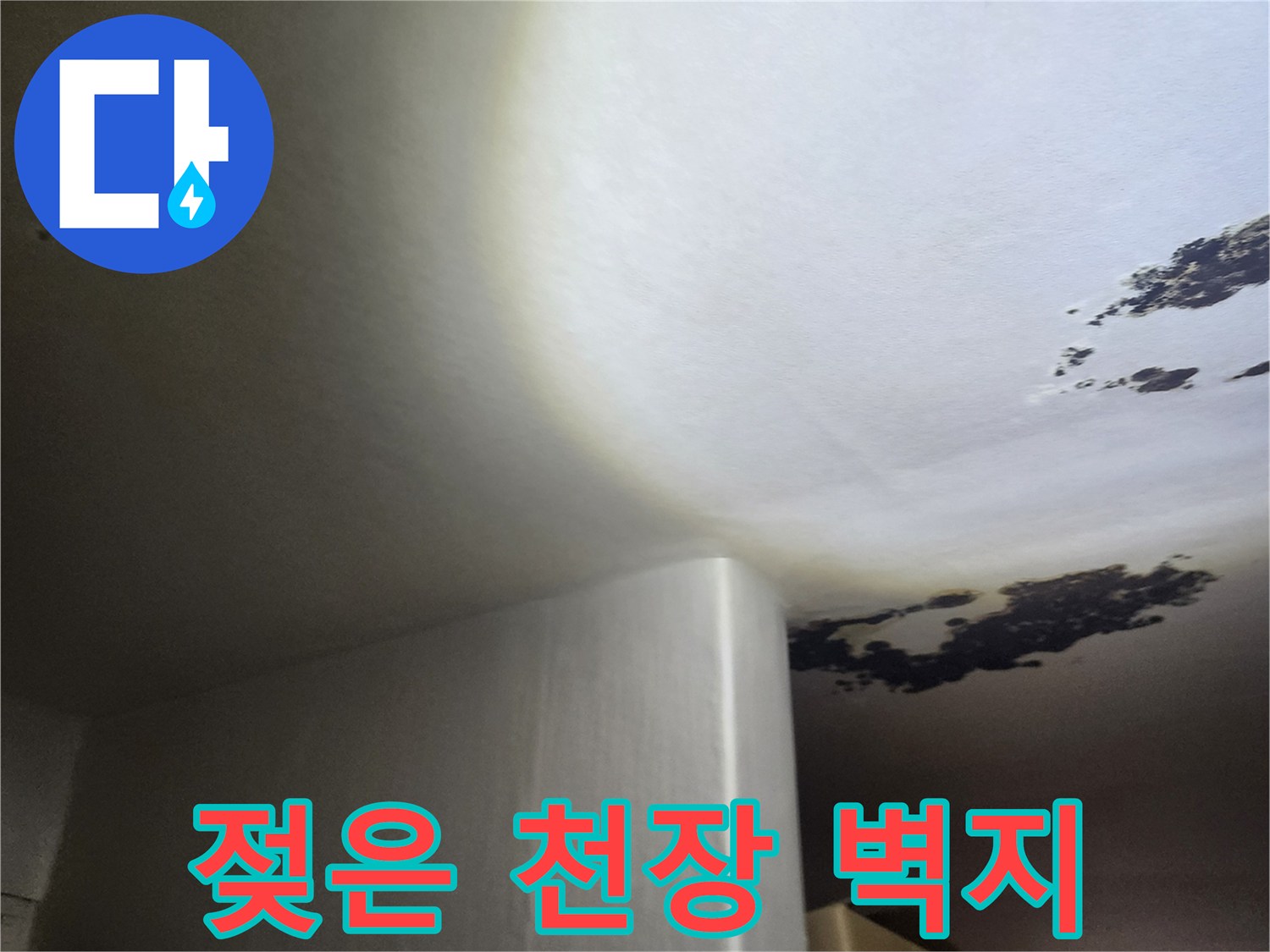 물기에 젖어 변색된 천장 부위의 모습