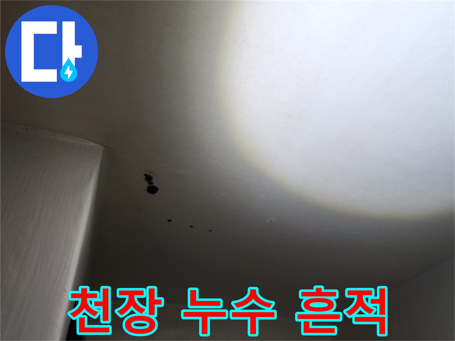 물샘 현상으로 인해 곰팡이가 피어오른 천장 벽면