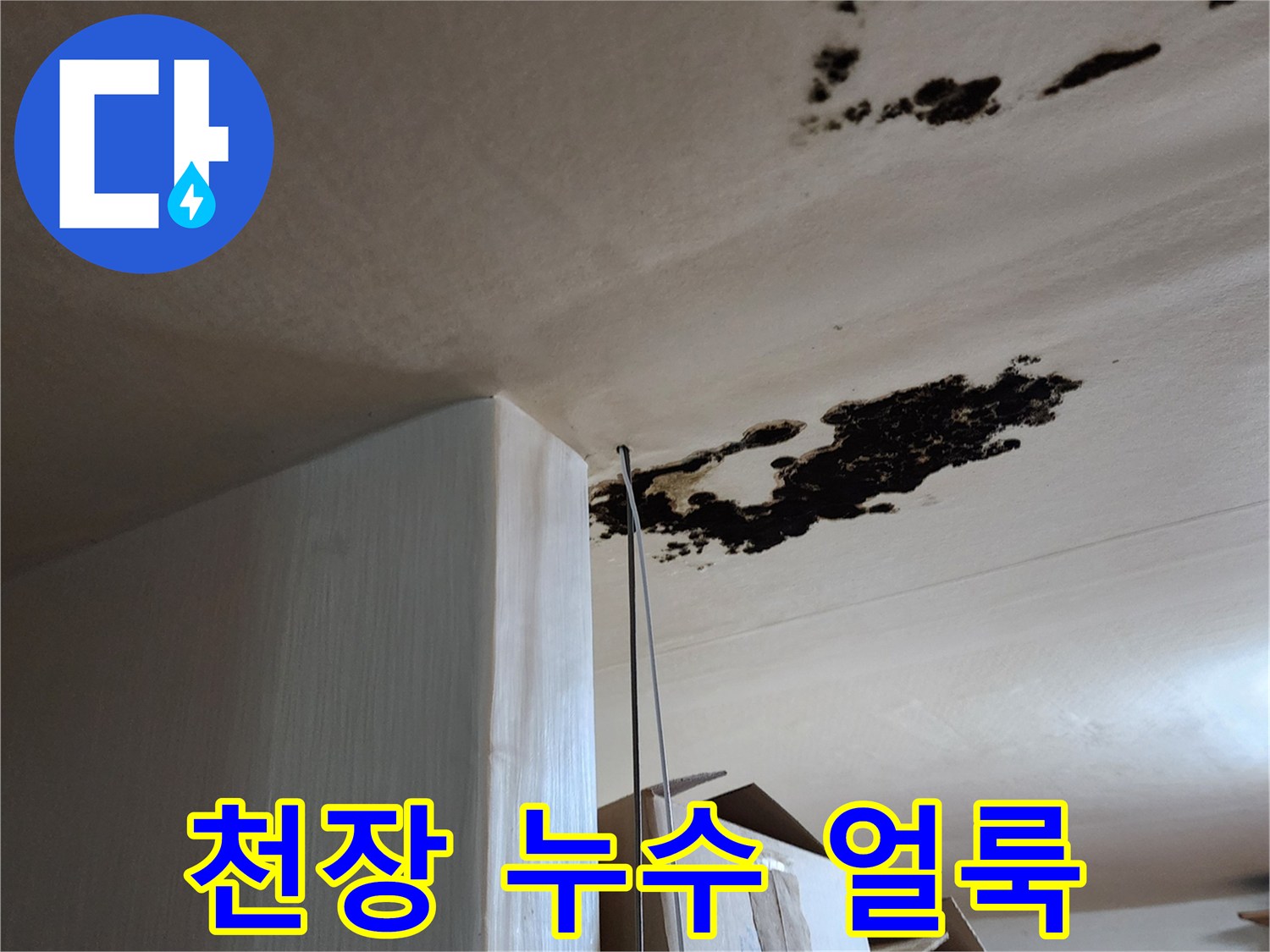 물샘으로 인해 발생한 천장의 검은 곰팡이 흔적