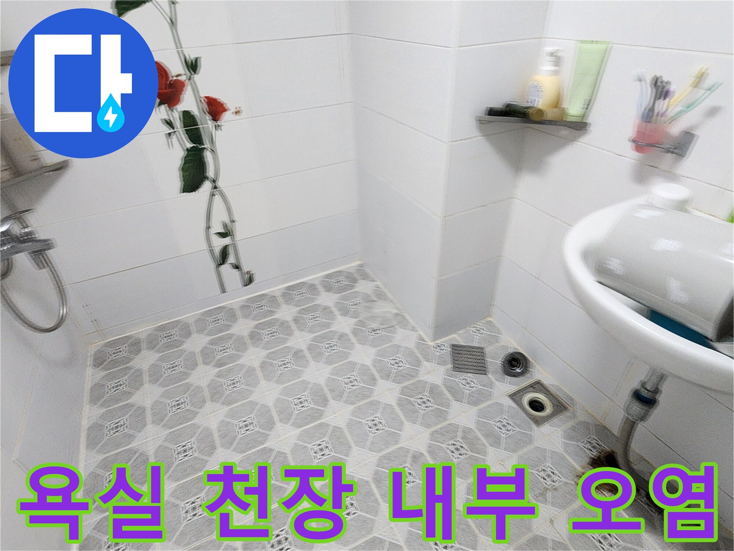 욕실 천장 돔-배관 주변의 습기와 오염된 상태