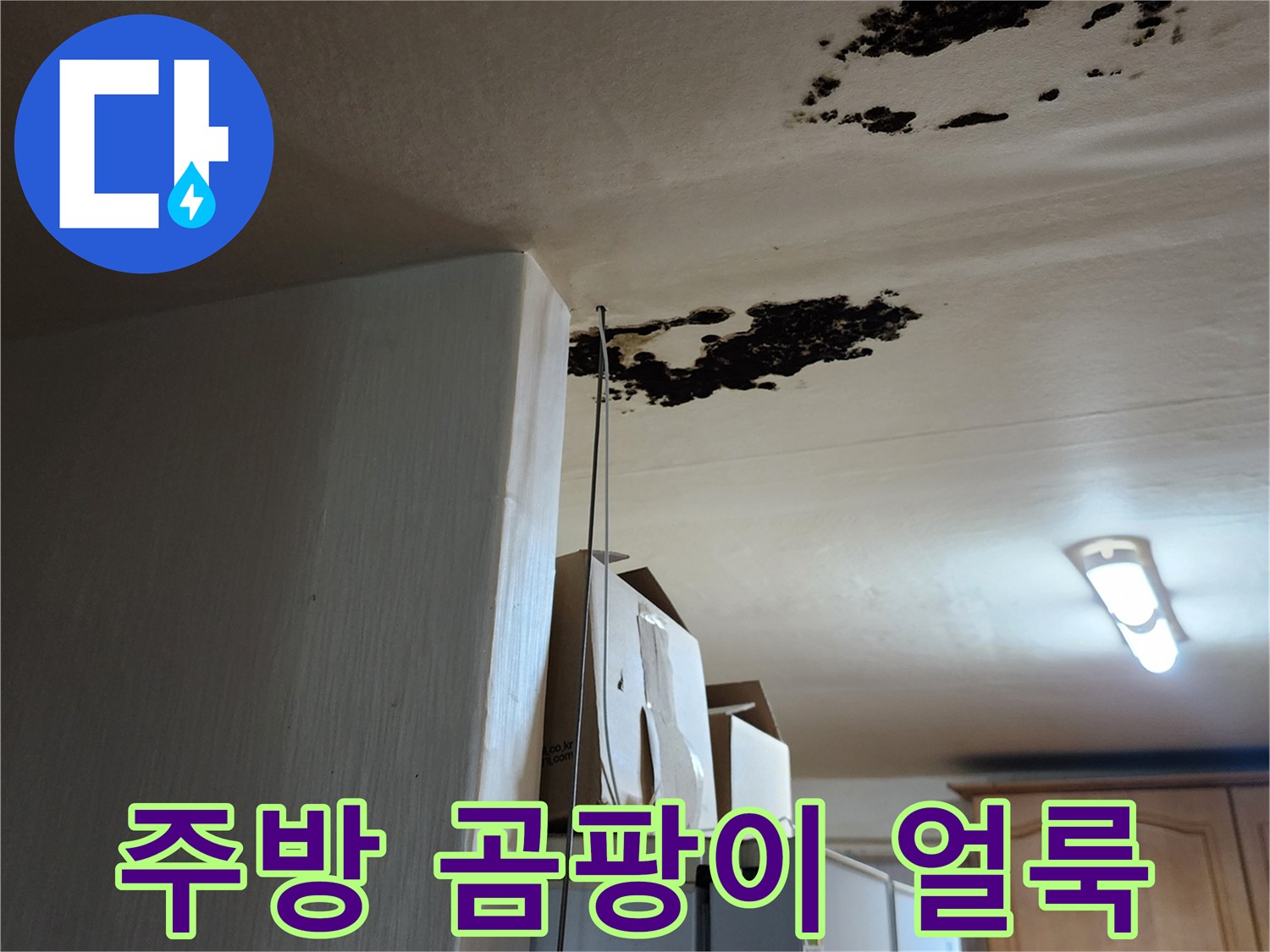 주방 천장 마감재의 검은색 곰팡이와 물 얼룩 상태