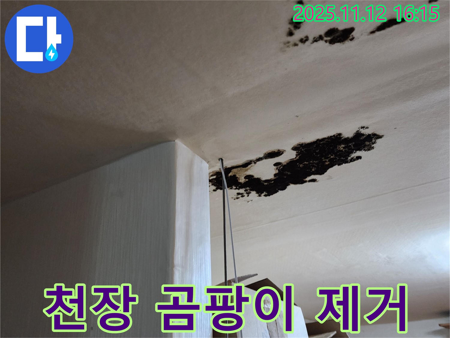 천장 곰팡이 - 누수 해결 - 군내면 구읍리 누수 해결사의 완벽 시공