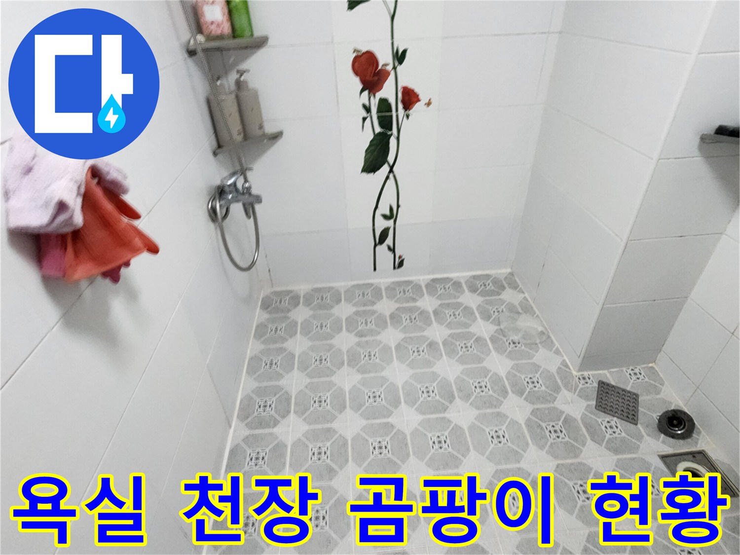 축축하게 젖은 욕실-천장 타일의 곰팡이 오염 상태
