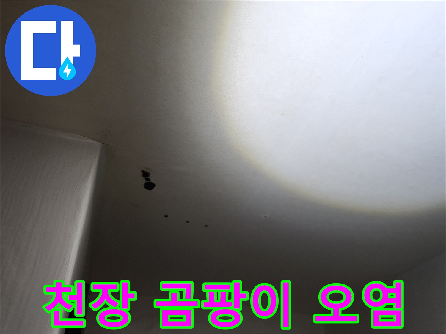 포천 구읍리 건물-천장에 번진 심각한 곰팡이 흔적