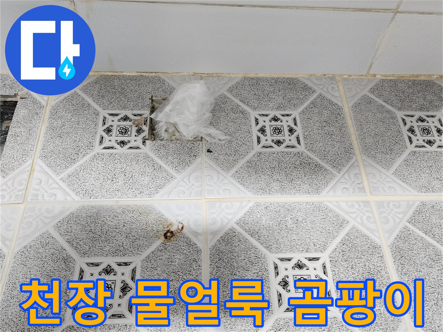 포천 구읍리 건물-천장재에 번진 곰팡이와 물때 흔적