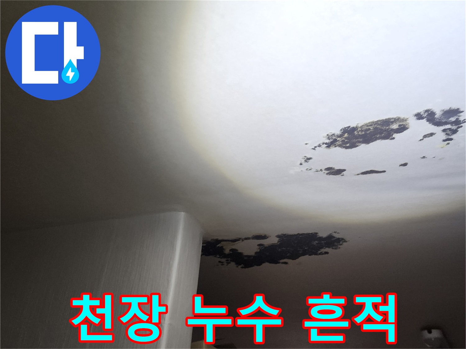 포천 구읍리 천장-심각한 곰팡이와 물 얼룩 부위
