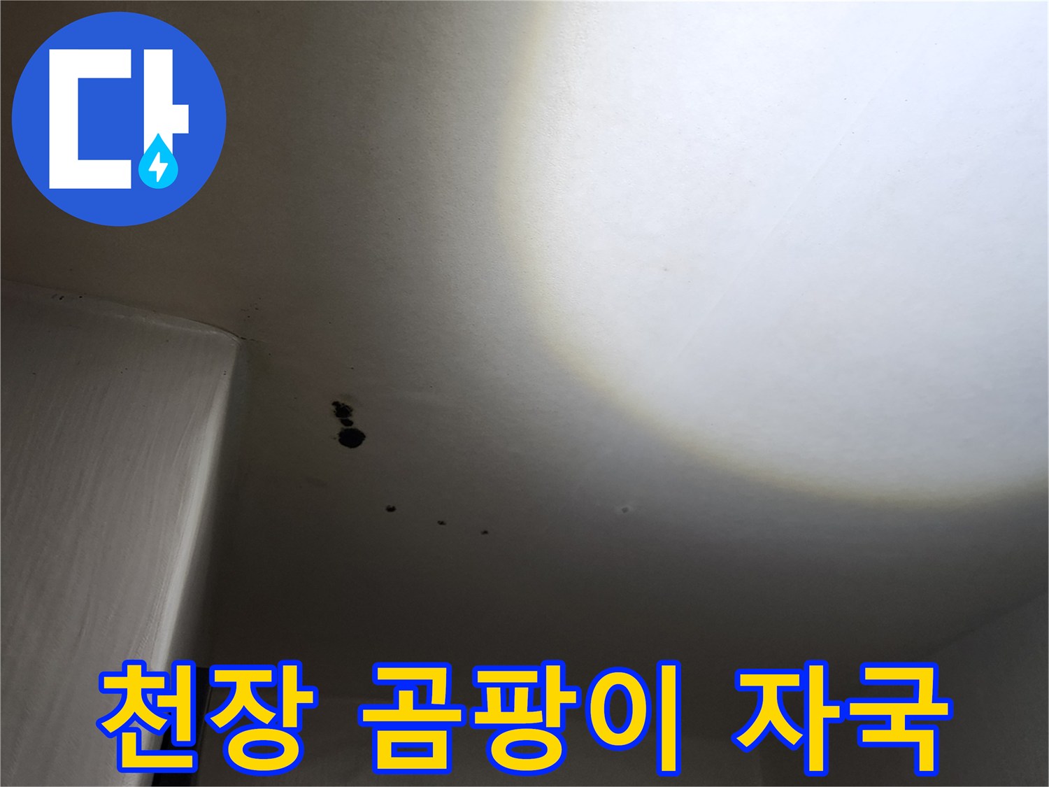 포천 구읍리 현장-습기로 인해 검게 변한 천장 부분