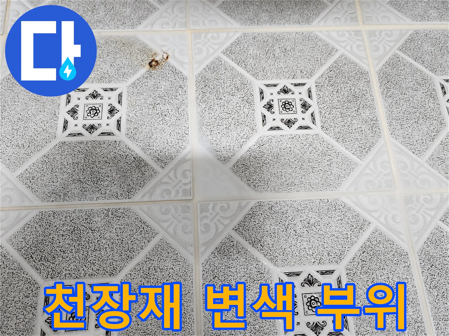 포천 구읍리 현장-습기로 인해 변색된 천장 텍스 표면