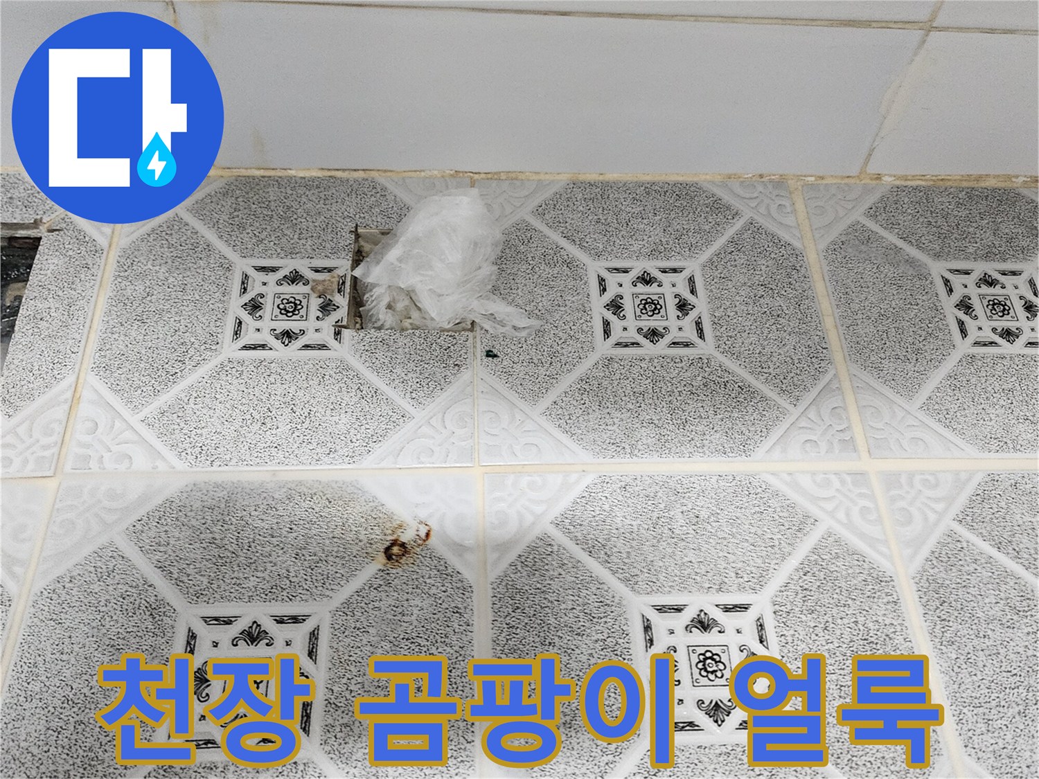 포천 구읍리 현장-천장 마감재에 발생한 검은 곰팡이와 습기 흔적
