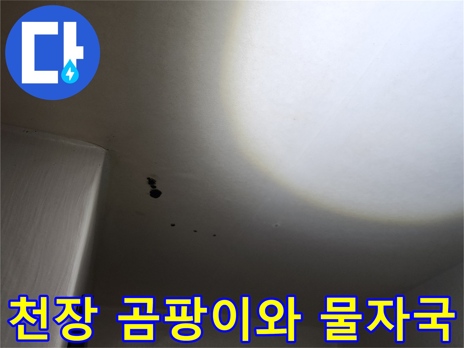포천 구읍리 현장-천장에 발생한 검은 곰팡이와 습기 흔적