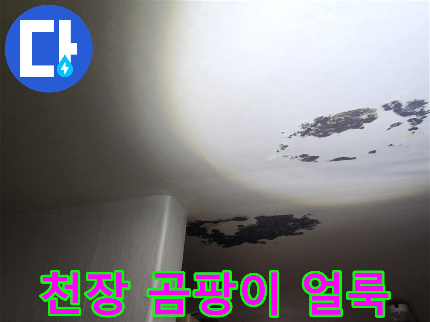 포천 구읍리 현장의-천장 곰팡이와 물샘 흔적 이미지