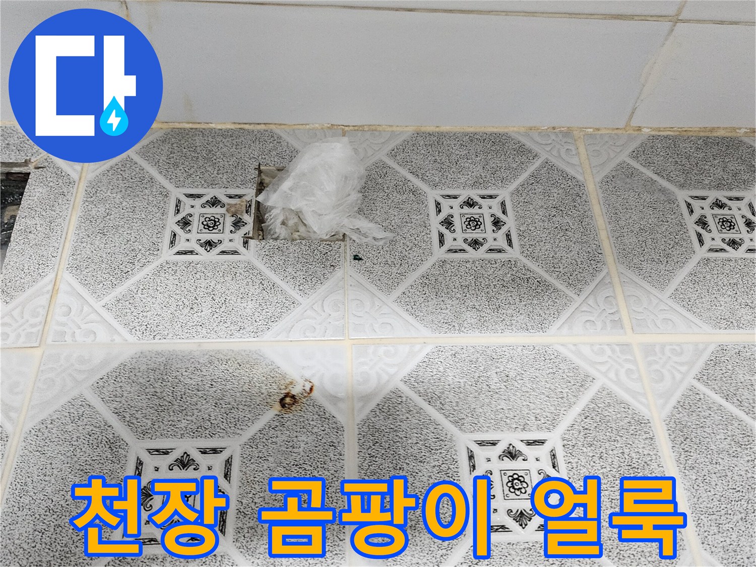 포천 구읍리 현장의 천장 곰팡이와 습기 흔적 사진