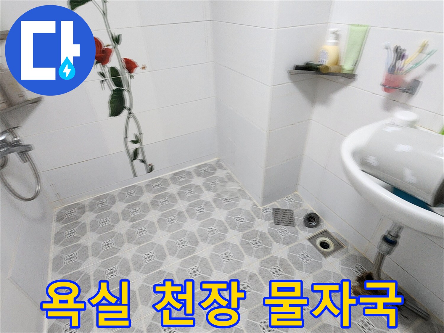 포천시 군내면 화장실 천장 패널의 누수 흔적과 곰팡이 상태