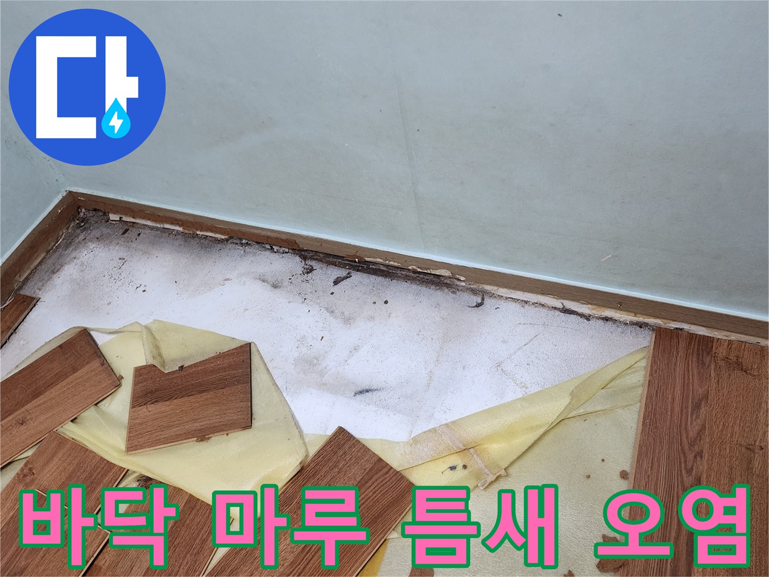 마루 바동재를 걷어낸-벽체 하단 곰팡이와 습기 상태