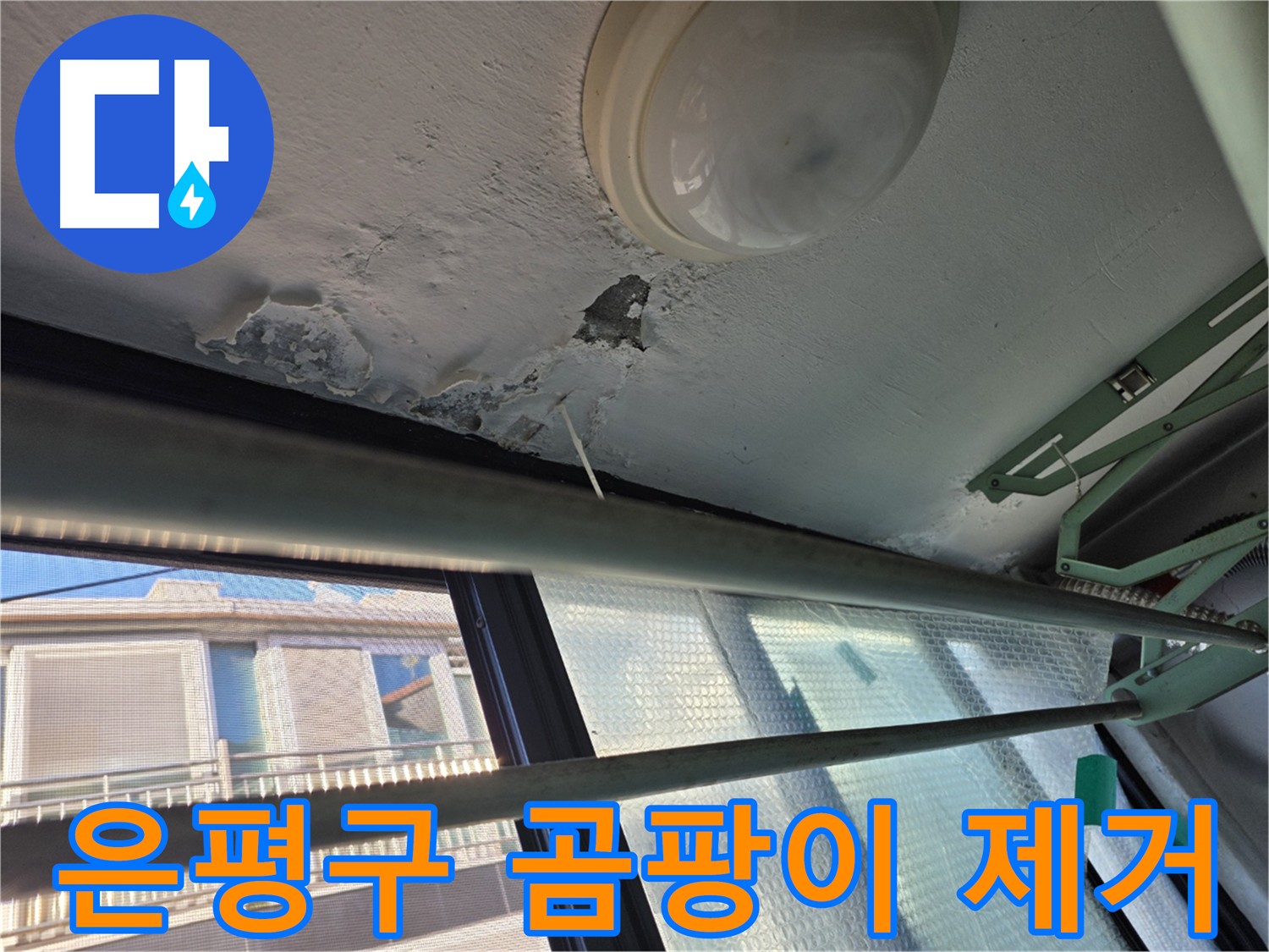 은평구 곰팡이 제거 - 누수 곰팡이, 호흡기 질환 유발