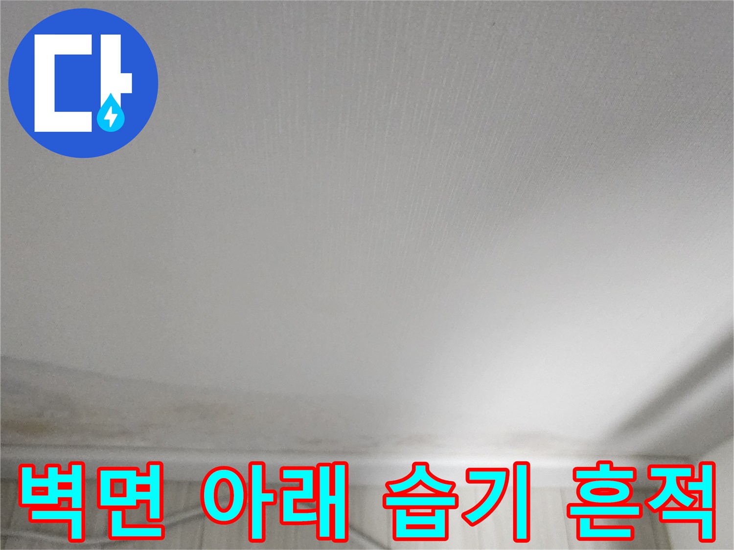 포천 군내면-벽지 하단부의 누런 얼룩과 젖음