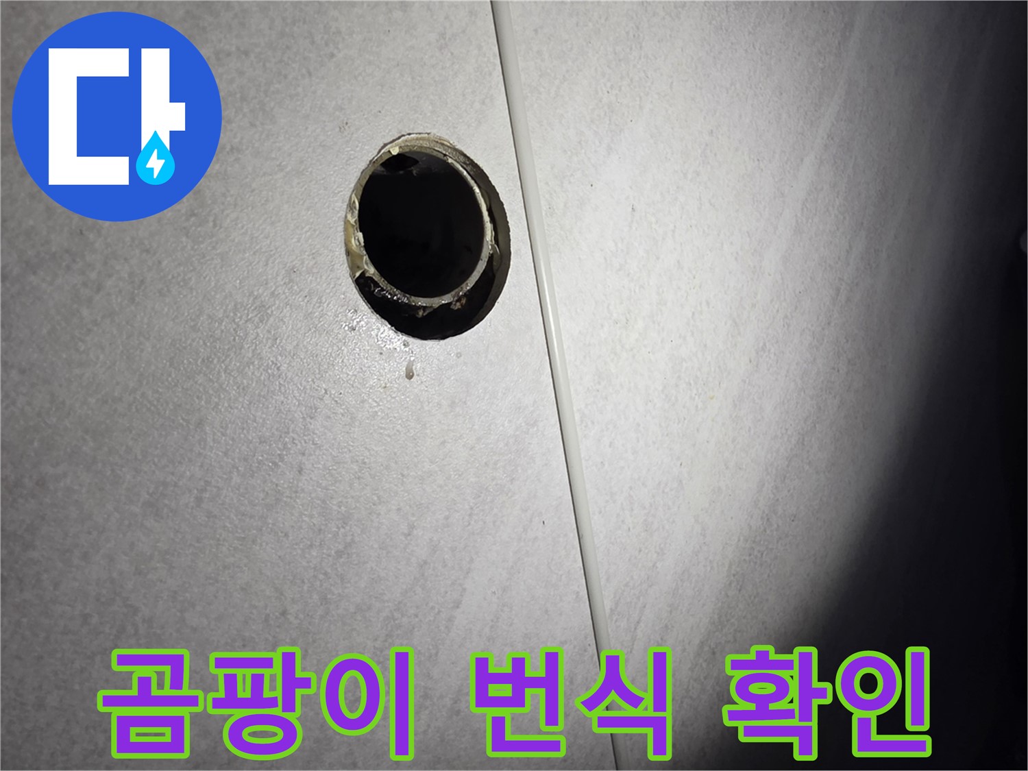 오류동 삼천리아파트 벽 하수구 - 배관 주변 곰팡이 번식 확인