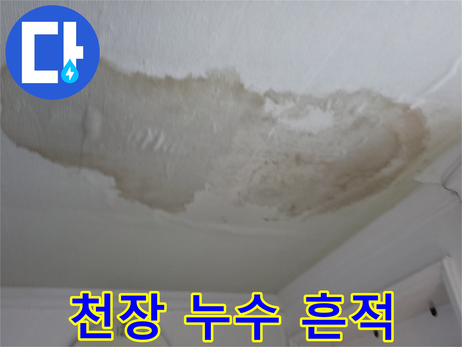 대림동 아파트 천장 누수 흔적 - 젖은 천장