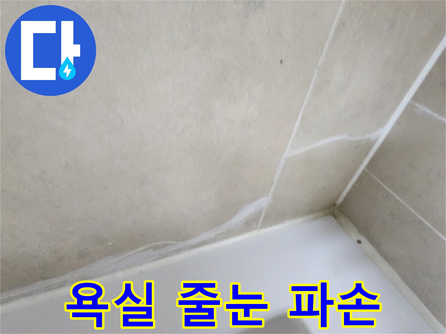 갈라진 백시멘트와 타일 경계선