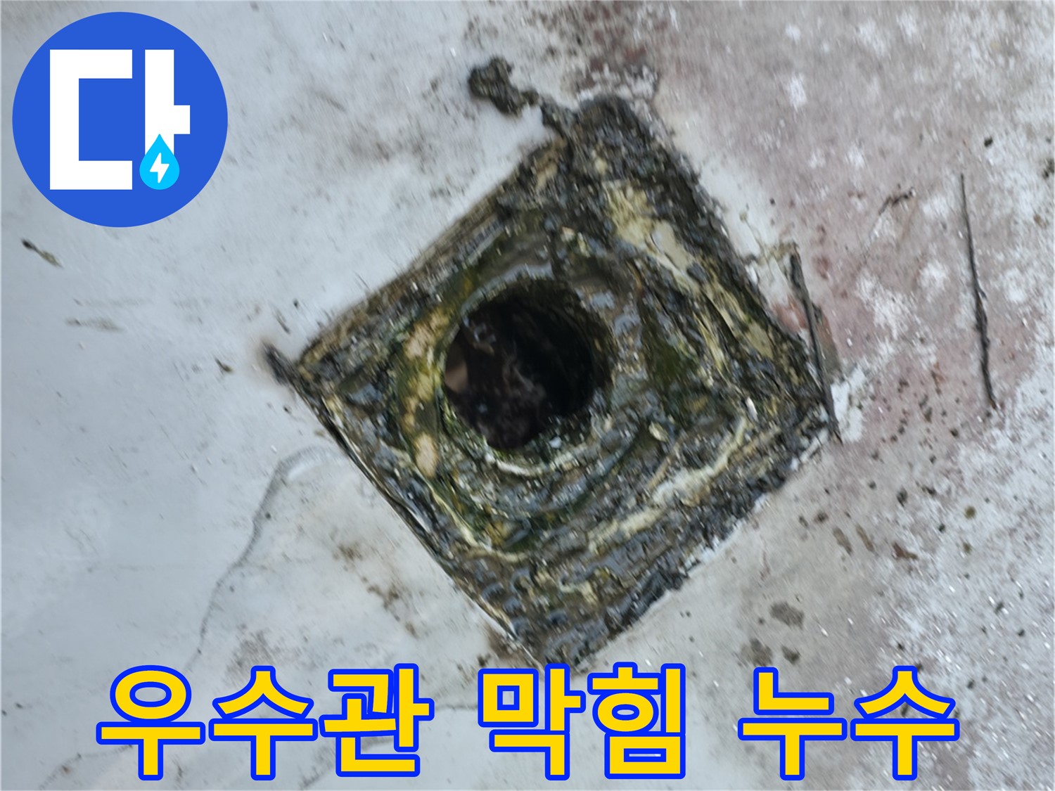 독산동 테라스 우수관 막힘으로 인한 누수 발생 - 신속한 해결