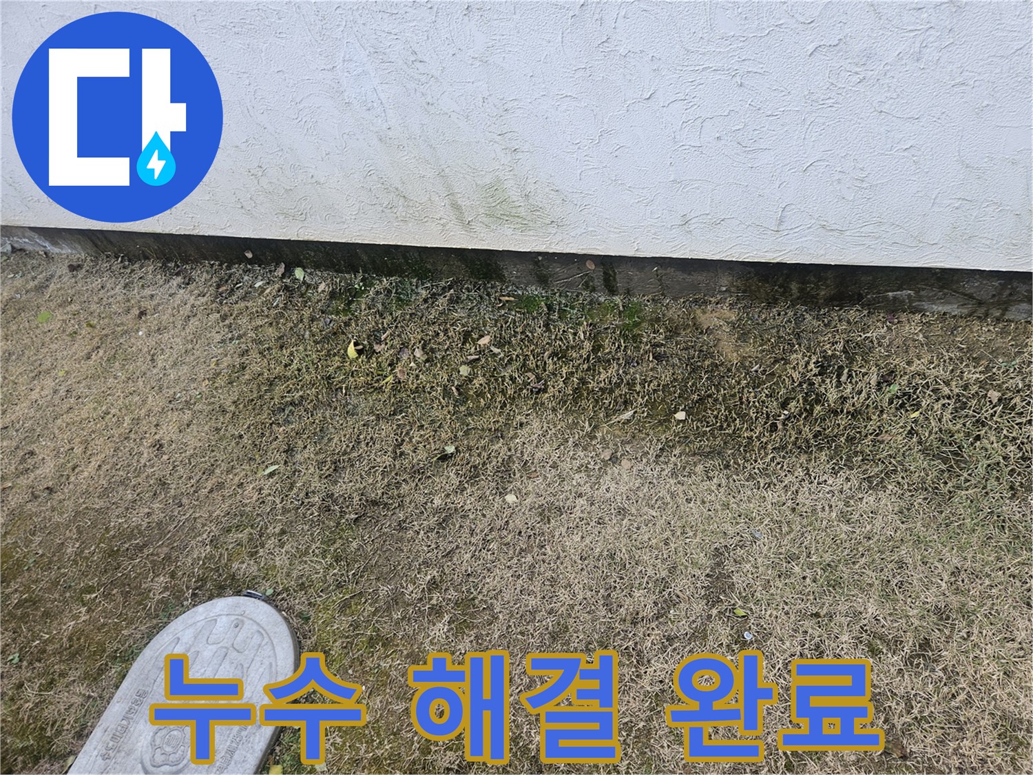 이천 설성면 누수 - 축대 누수 문제 완벽 해결 및 습기 제거 완료