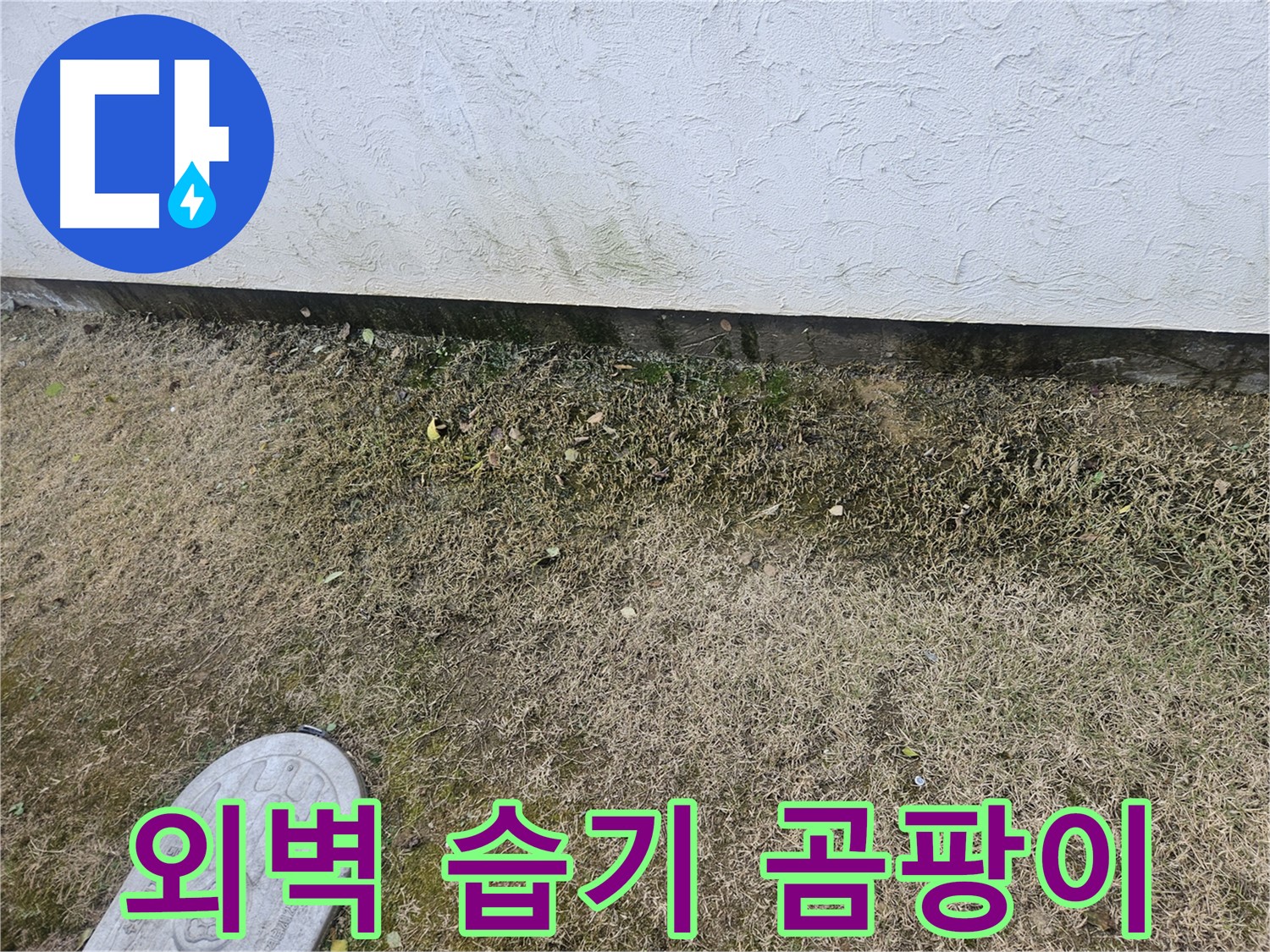 이천 아리역로 누수 - 건물 외벽 하단 습기 및 곰팡이 발생