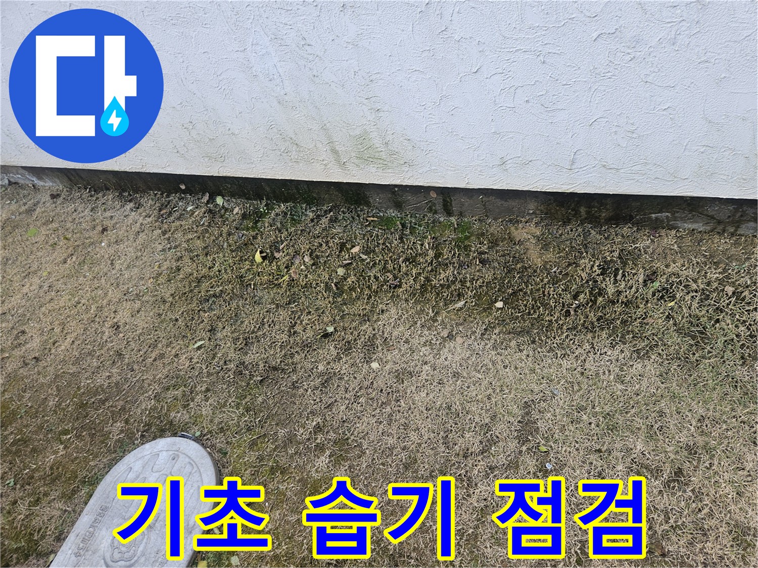 이천 아리역로 누수 - 주택 기초 누수 및 주변 지반 습기 점검