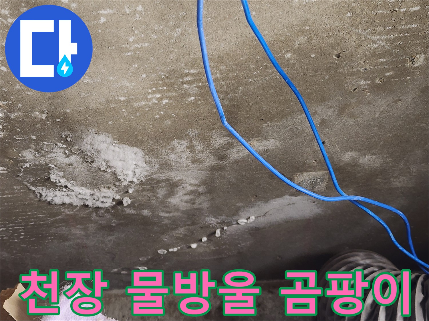 기흥구 보정동 콘크리트 천장 - 물방울과 곰팡이 - 100% 누수