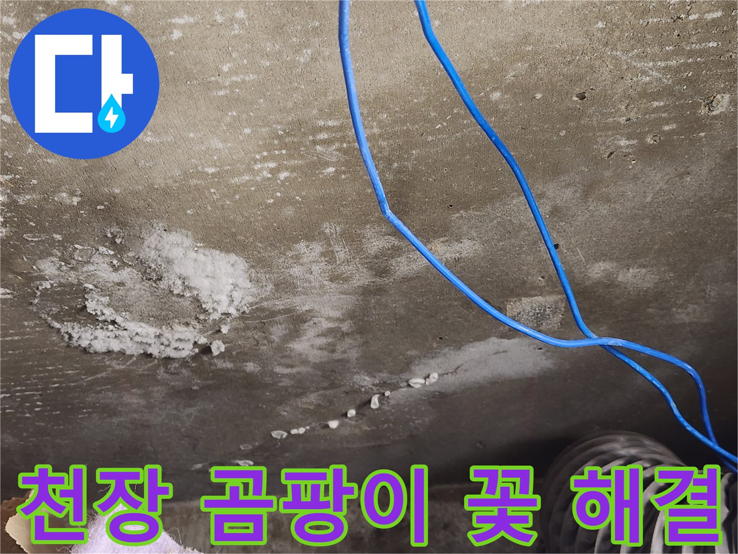 기흥구 콘크리트 천장 - 곰팡이 꽃 누수 해결 - 완벽한 해결 비법