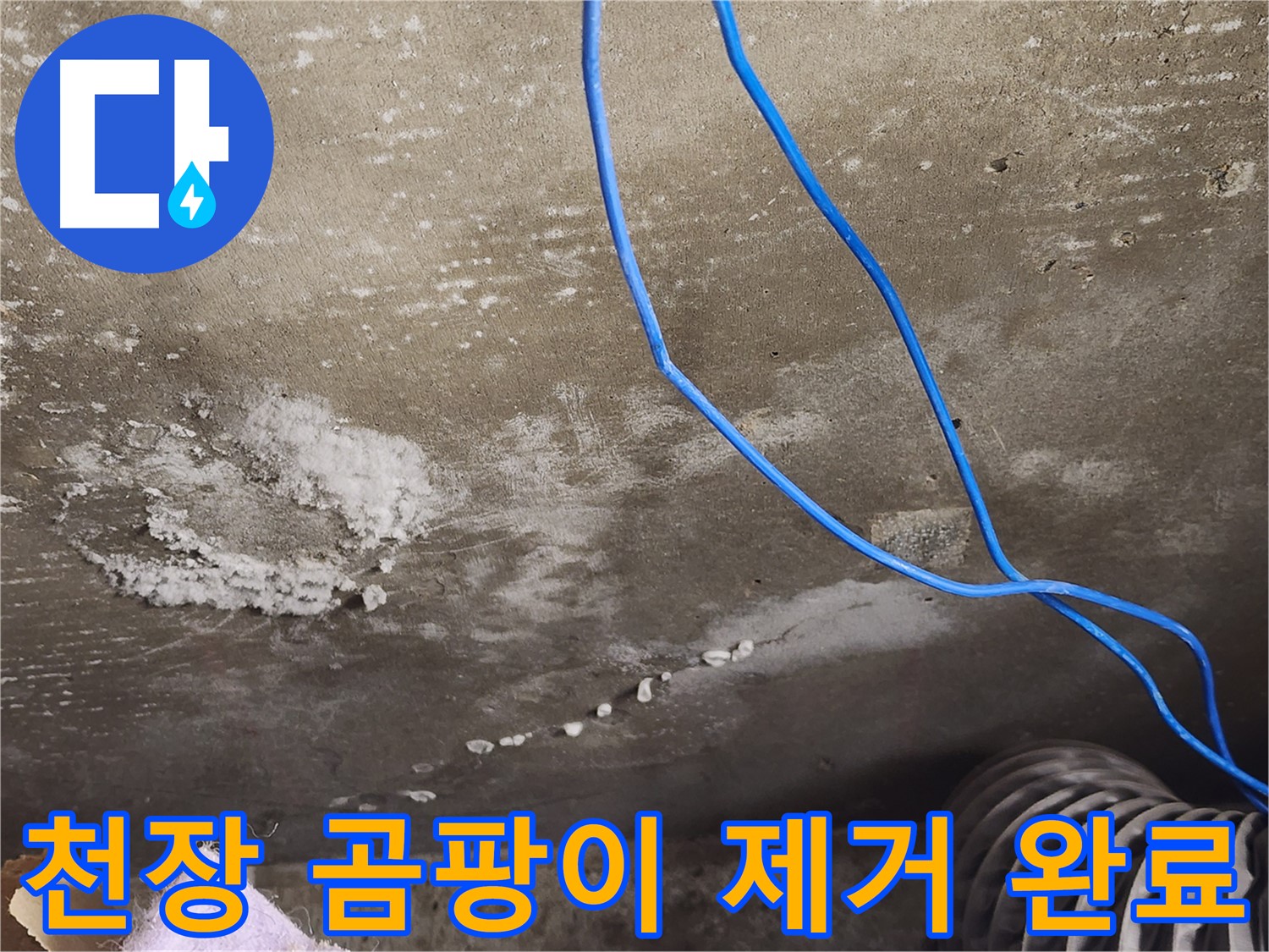 기흥구 콘크리트 천장 - 곰팡이 완벽 제거 - 쾌적한 공간 완성