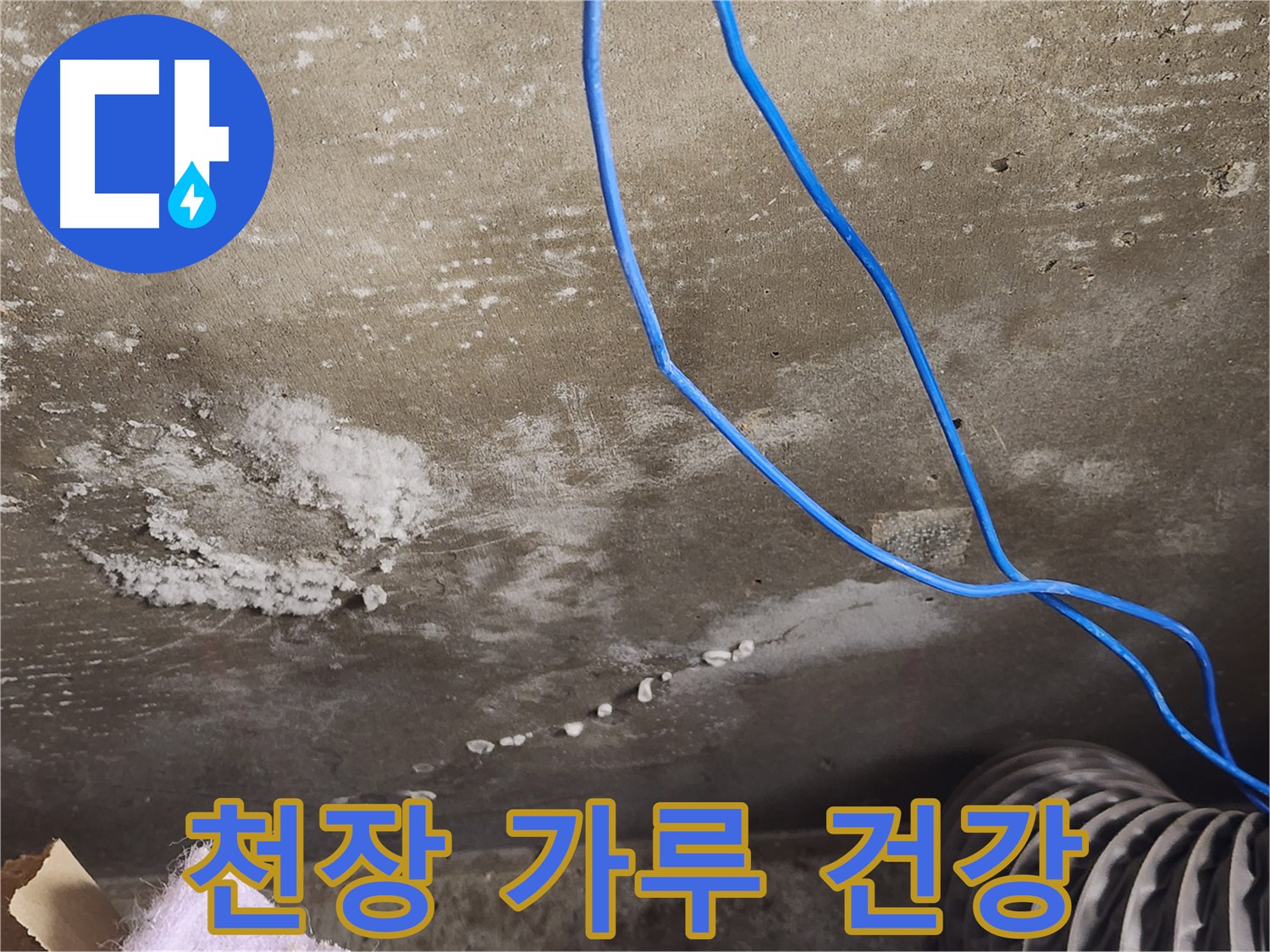 용인 콘크리트 천장 - 하얀 가루 백화현상 - 건강 위협
