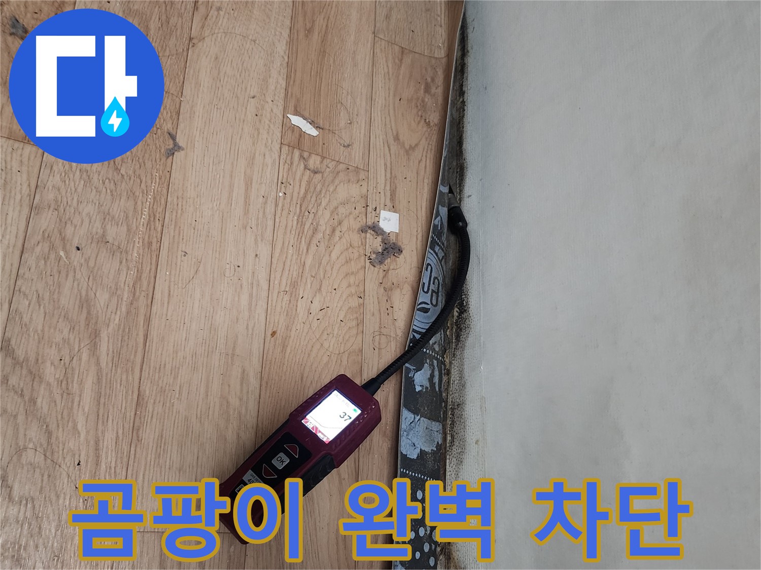 수원 누수탐지 전문가 - 곰팡이 누수 완벽 차단 및 쾌적 공간 조성