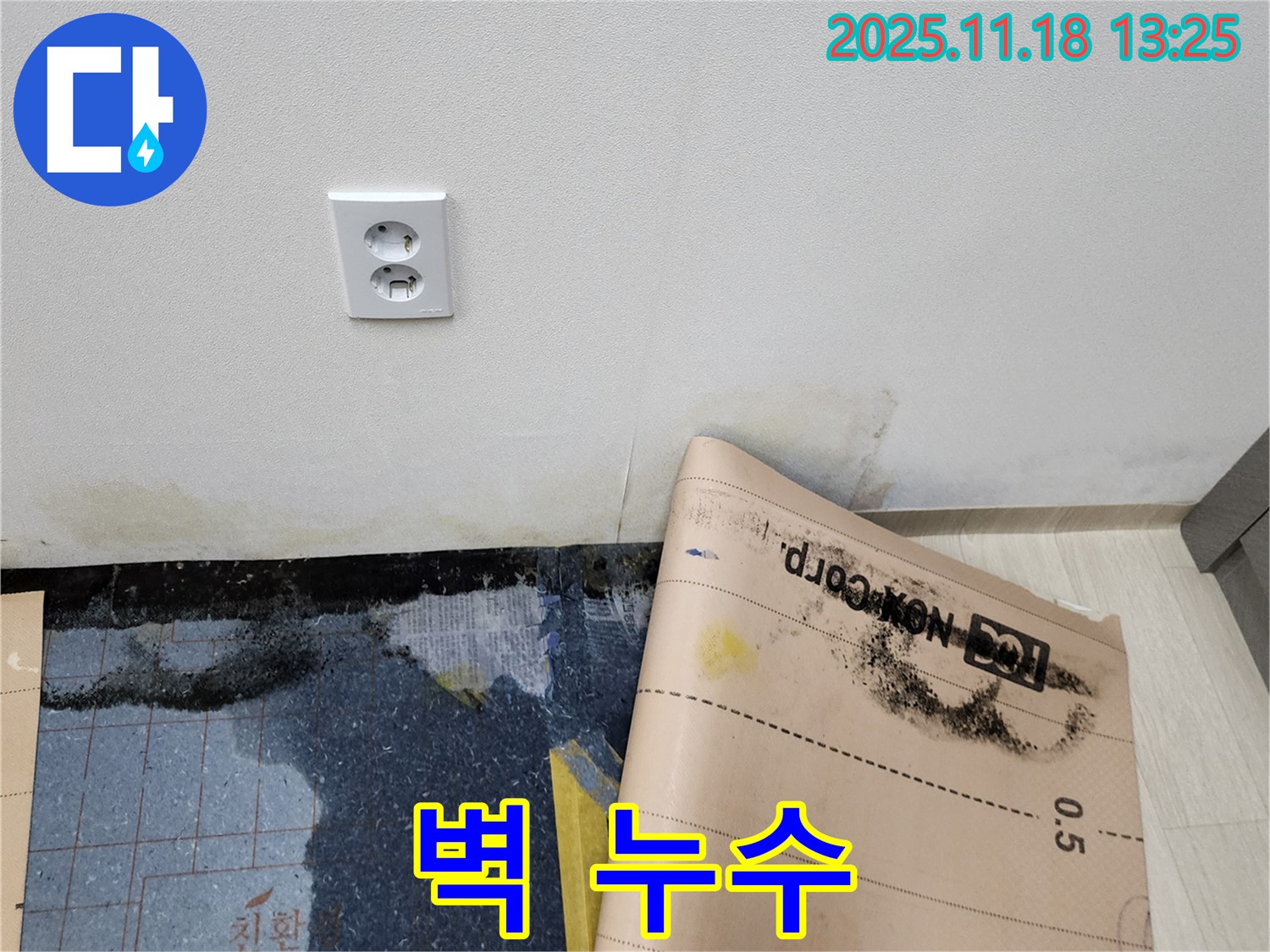 벽에 발생한 누수 - 건물 손상과 곰팡이 발생의 원인